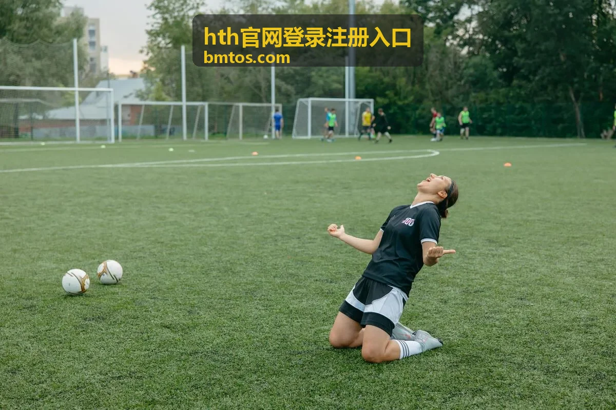 hth官网登录注册入口的账号资料管理示意